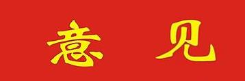关于从严从实做好全市“两新”组织发展党员工作的实施意见